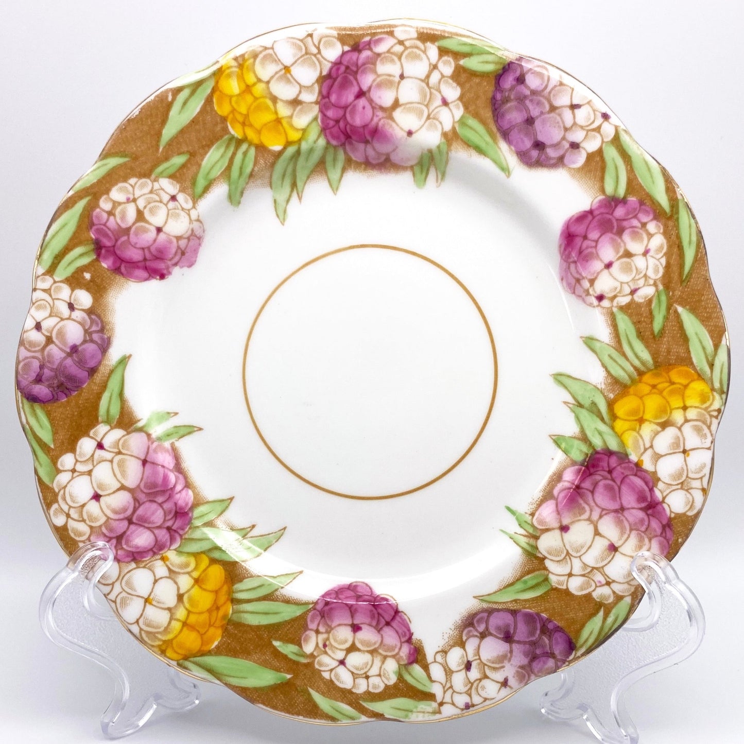 Candytuft - Brown 6.25"
