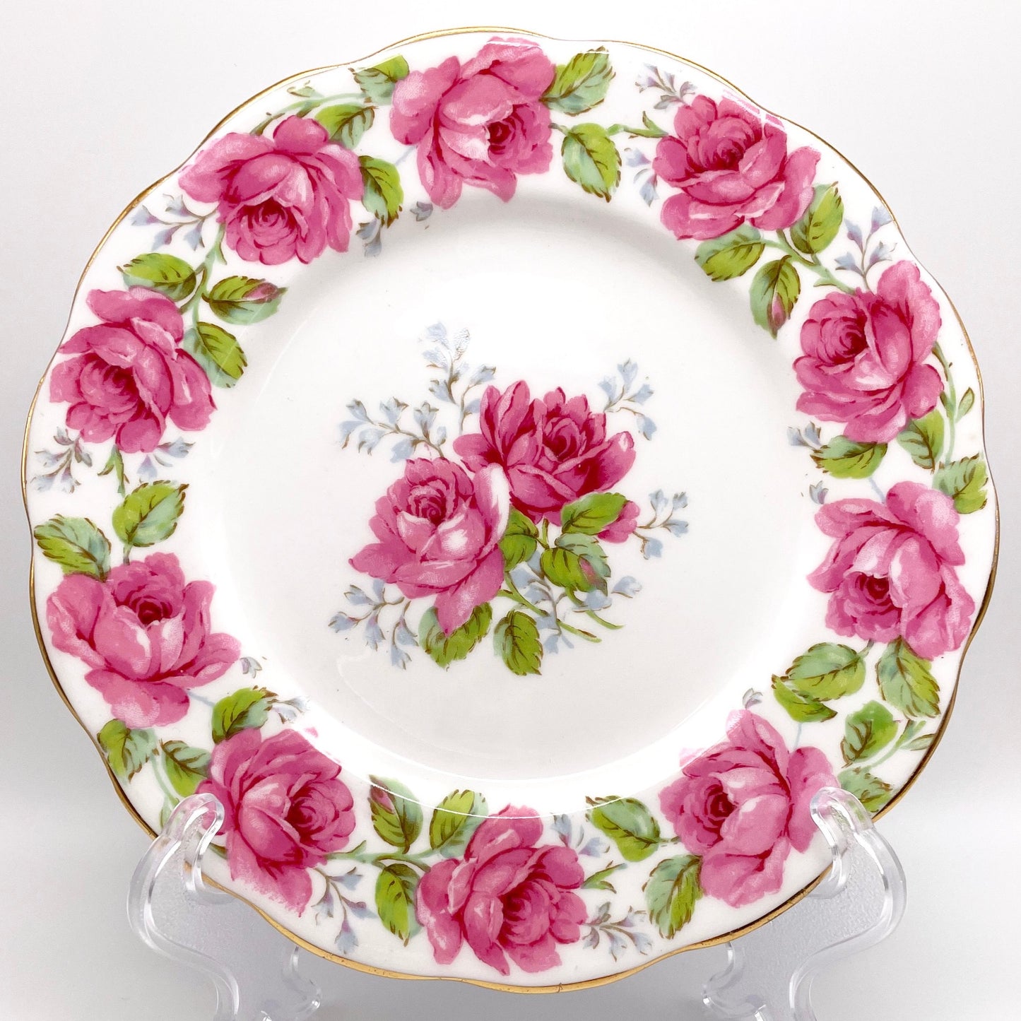 Lady Alexander Rose 6.25"