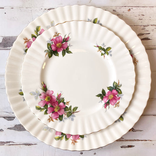 Prairie Rose 2 plate set